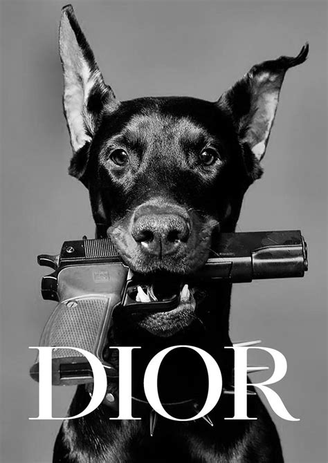 dior dog gun picture|Dior Doberman .